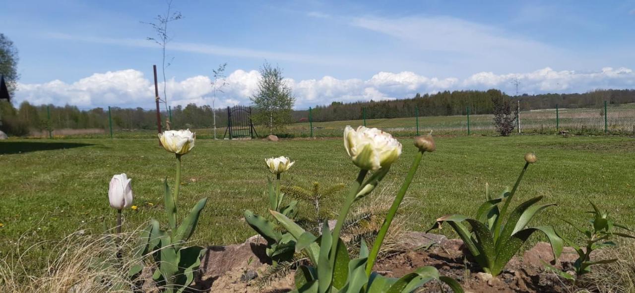 Zacisze Pod Brzozami Villa Kętrzyn Dış mekan fotoğraf