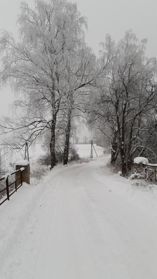 Zacisze Pod Brzozami Villa Kętrzyn Dış mekan fotoğraf