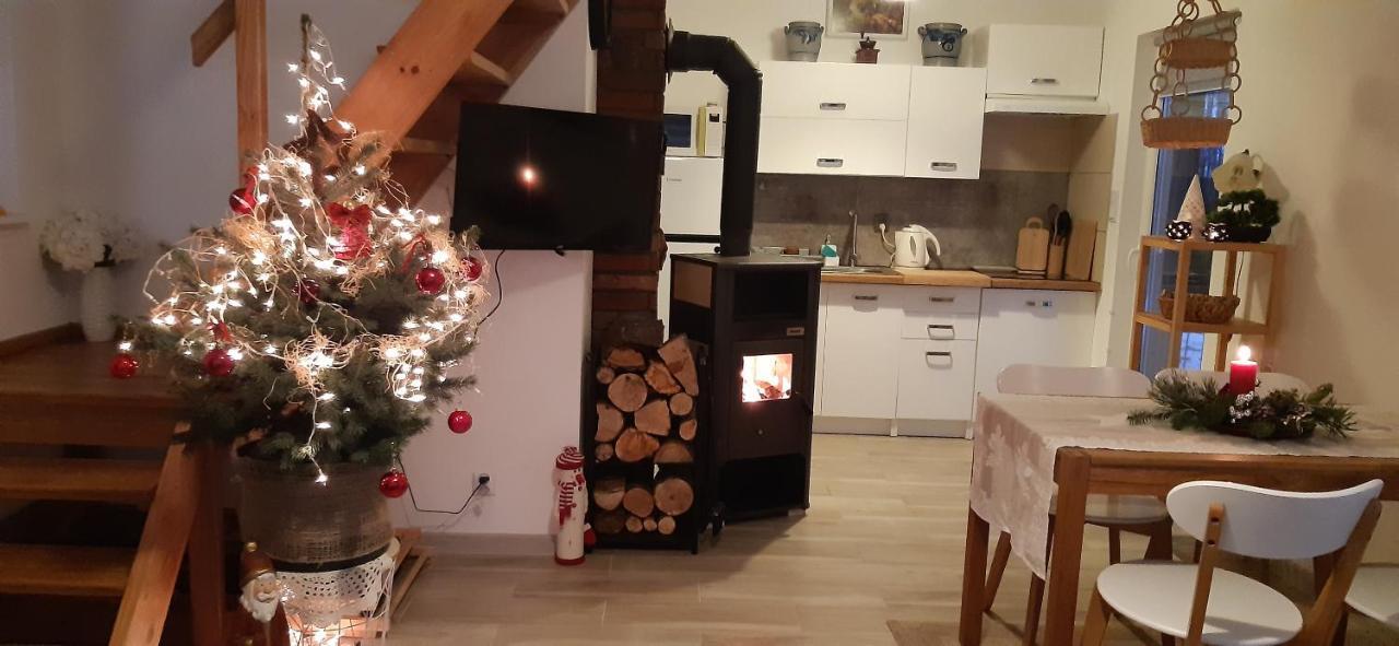 Zacisze Pod Brzozami Villa Kętrzyn Dış mekan fotoğraf